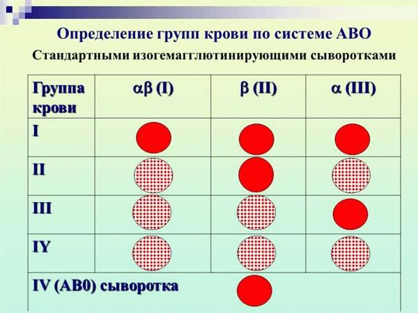 Определение группы крови с помощью цоликлонов