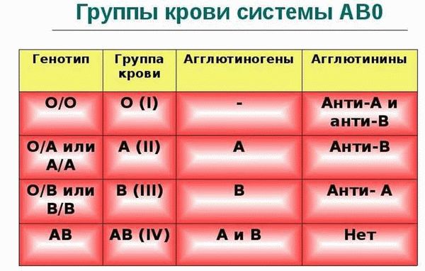 Как проводится анализ крови на группу